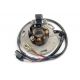 Electrex, stator alternátoru, Suzuki RM 125/250 '94-'96