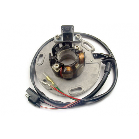 Electrex, stator alternátoru, Suzuki RM 125/250 '94-'96