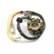 Electrex, stator alternátoru, se světly, Suzuki RMZ 250 (2003 ON), RMZ 450 ( 04- 05)