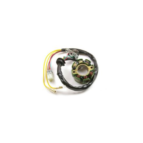 Electrex, stator alternátoru, se světly, Suzuki RMZ 250 (2003 ON), RMZ 450 ( 04- 05)