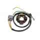 Electrex, stator alternátoru, Kawasaki KXF 450 06-