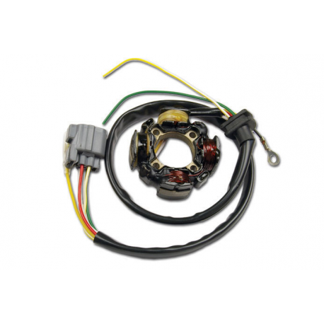 Electrex, stator alternátoru, Kawasaki KXF 450 06-