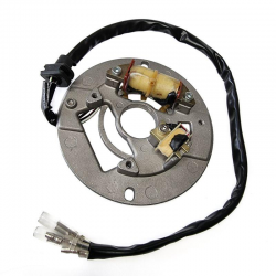Electrex, stator alternátoru, Yamaha YFS 200 BLASTER