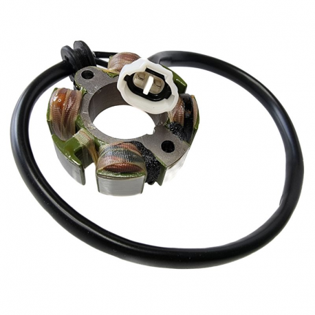 Electrex, stator alternátoru, KTM SXF 250 '05
