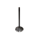 Nachman, sací ventil, ARCTIC CAT 366 4X4 '08-11, 400 TRV '09-14, 400 CR '13-15, 400 ALTERRA '16-17, ocelový (BRONCO) (OEM:0809-1