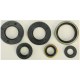 Winderosa (Vertex), sada gufer motoru, KTM SX 65 98-08, XC 65 08