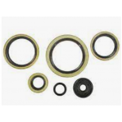 Winderosa (Vertex), sada gufer motoru, KTM EXC 300 94-03, EXC 360 96-97, EXC 380 98-02, MXC 300 9