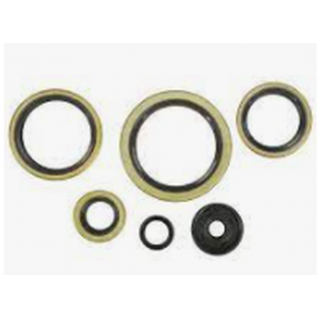 Winderosa (Vertex), sada gufer motoru, KTM EXC 300 94-03, EXC 360 96-97, EXC 380 98-02, MXC 300 9
