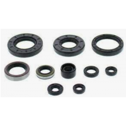 Winderosa (Vertex), sada gufer motoru, Polaris HAWKEYE 2X4 06-11, HAWKEYE 4X4 06-07, SPORTSMAN 30
