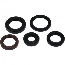 Winderosa (Vertex), sada gufer motoru, Polaris PHOENIX 200 05-21, RZR 170 09-20, SAWTOOTH 200 06-
