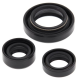 Winderosa (Vertex), sada gufer motoru, Suzuki LT-F250 OZARK 02-14, LT-Z250 04-09
