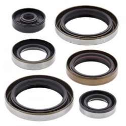 Winderosa (Vertex), sada gufer motoru, Suzuki RM250 06-08