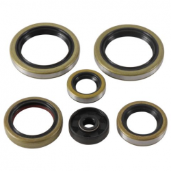 Winderosa (Vertex), sada gufer motoru, Gas-Gas MC125 21, Husqvarna TC 125 16-21, TE 150 17-19, TE