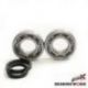 Bearing Worx, ložiska a gufera klikovky, Beta 4T 350/400/450/498 (NTN)