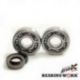 Bearing Worx, ložiska a gufera klikovky, GAS GAS EC 125 '10- (MADE IN JAPAN) (NTN)