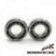 Bearing Worx, ložiska klikovky, GAS GAS EC 250 4T '10-12, EC 250F '13 (MADE IN JAPAN) (NTN)