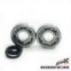 Bearing Worx, ložiska a gufera klikovky, Husqvarna CR250 99-04, WR250 99-13, WR300 98-13 (MADE IN JAPAN) (NTN) (24-