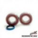 Bearing Worx, ložiska a gufera klikovky, Kawasaki KXF 250 04-18, Suzuki RMZ 250 04-06 (NTN) (24-1081) (23.CBS43004)