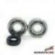 Bearing Worx, ložiska a gufera klikovky, Kawasaki KX 500 '83-'04 (MADE IN JAPAN) (NTN) (24-1011)