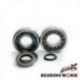 Bearing Worx, ložiska a gufera klikovky, KTM SX 85/105 03-18, Husqvarna TC 85 (14-15) (NTN) (23.CBS61003 50002307)