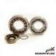 Bearing Worx, ložiska a gufera klikovky, KTM SX/EXC 250/300 04-19, FREERIDE 250R '14-'17, Husqvarna TE/TC 250/300