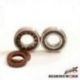 Bearing Worx, ložiska a gufera klikovky, KTM SXF 250 13-15, SXF 350 11-15, Husqvarna FC/FE 250/350 14-15 (MADE IN