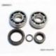 Bearing Worx, ložiska klikovky, KTM SX 50 10-12, SX50 MINI 09-15 (NTN) (24-1099)