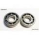 Bearing Worx, ložiska klikovky, Suzuki LTR 450 (06-12) (NTN) (24-1116) (K051)