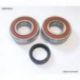 Bearing Worx, ložiska klikovky, Suzuki RMZ 250 07-09 (NTN) (23.CBS33007) (K055)