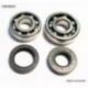 Bearing Worx, ložiska a gufera klikovky, Yamaha YZ 80/85 93-18 (NTN) (24-1023)