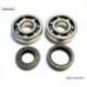 Bearing Worx, ložiska a gufera klikovky, Yamaha YZ 125 86-00 (NTN) (24-1024)