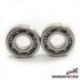 Bearing Worx, ložiska klikovky, Yamaha YFM 700 GRIZZLY 07-14 (MADE IN JAPAN) (NTN) (24-1096)