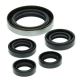 Winderosa (Vertex), sada gufer motoru, Polaris Outlaw 500 06-07, Predator 500 03-07