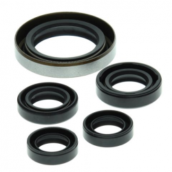 Winderosa (Vertex), sada gufer motoru, Polaris Outlaw 500 06-07, Predator 500 03-07