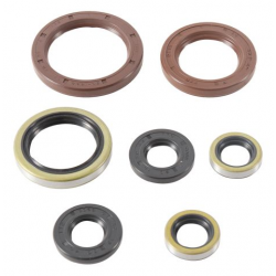 Winderosa (Vertex), sada gufer motoru, Gas Gas EX250F 21, Husqvarna FC 250/350 16-21, FE 250/350