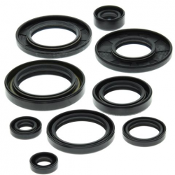 Winderosa, sada gufer motoru, Suzuki LT-250R 87-92