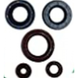 Winderosa, sada gufer motoru, Can-Am OUTLANDER DPS 450 EFI 15-20, OUTLANDER MAX DPS 450