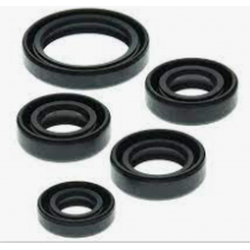 Winderosa, sada gufer motoru, Honda PIONEER 1000 16-21, TALON 1000X SXS1000S2X 19-21,