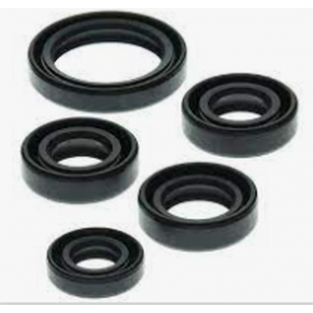Winderosa, sada gufer motoru, Honda PIONEER 1000 16-21, TALON 1000X SXS1000S2X 19-21,