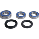 All Balls, sada ložisek a gufer zadního kola, BMW F 750GS '19, F 850GS '19, F 900R/XR '20