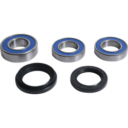 All Balls, sada ložisek a gufer zadního kola, BMW F 750GS '19, F 850GS '19, F 900R/XR '20