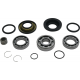 All Balls, opravná sada zadního diferenciálu, Honda PIONEER 500 '15-'21, Pioneer 520 '21