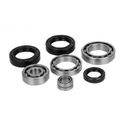 All Balls, opravná sada převodovky, (TRANSAXLE) Polaris Ranger 1000 '20-'21