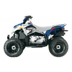 Blackbird, sada polepů, Polaris OUTLAW '06-'08 Dream 2 (16)