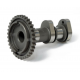 Hot Cams, vačková hřídel (sací - IN) KTM SX-F 250 '13-'15 (SX-F250)