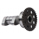 Hot Cams, vačková hřídel (sací - IN) Yamaha WR 250F '15-'19 (WR250F)