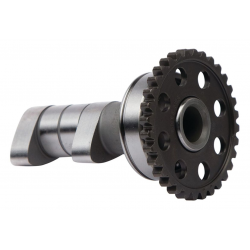 Hot Cams, vačková hřídel (sací - IN) Yamaha WR 250F '15-'19 (WR250F)