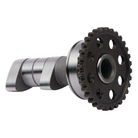 Hot Cams, vačková hřídel (sací - IN) Yamaha WR 250F '15-'19 (WR250F)