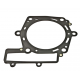 Athena, těsnění pod hlavu, BMW G 450X '07-'10, Husqvarna TC/TE/TXC 449 '11-'13 (OEM:11117715466 7715466)