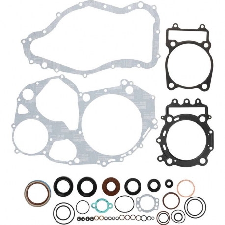 Winderosa, sada těsnění a gufer motoru, ARCTIC CAT 700 EFI 08-14, 700 TRV 08-12, PROWLER 700